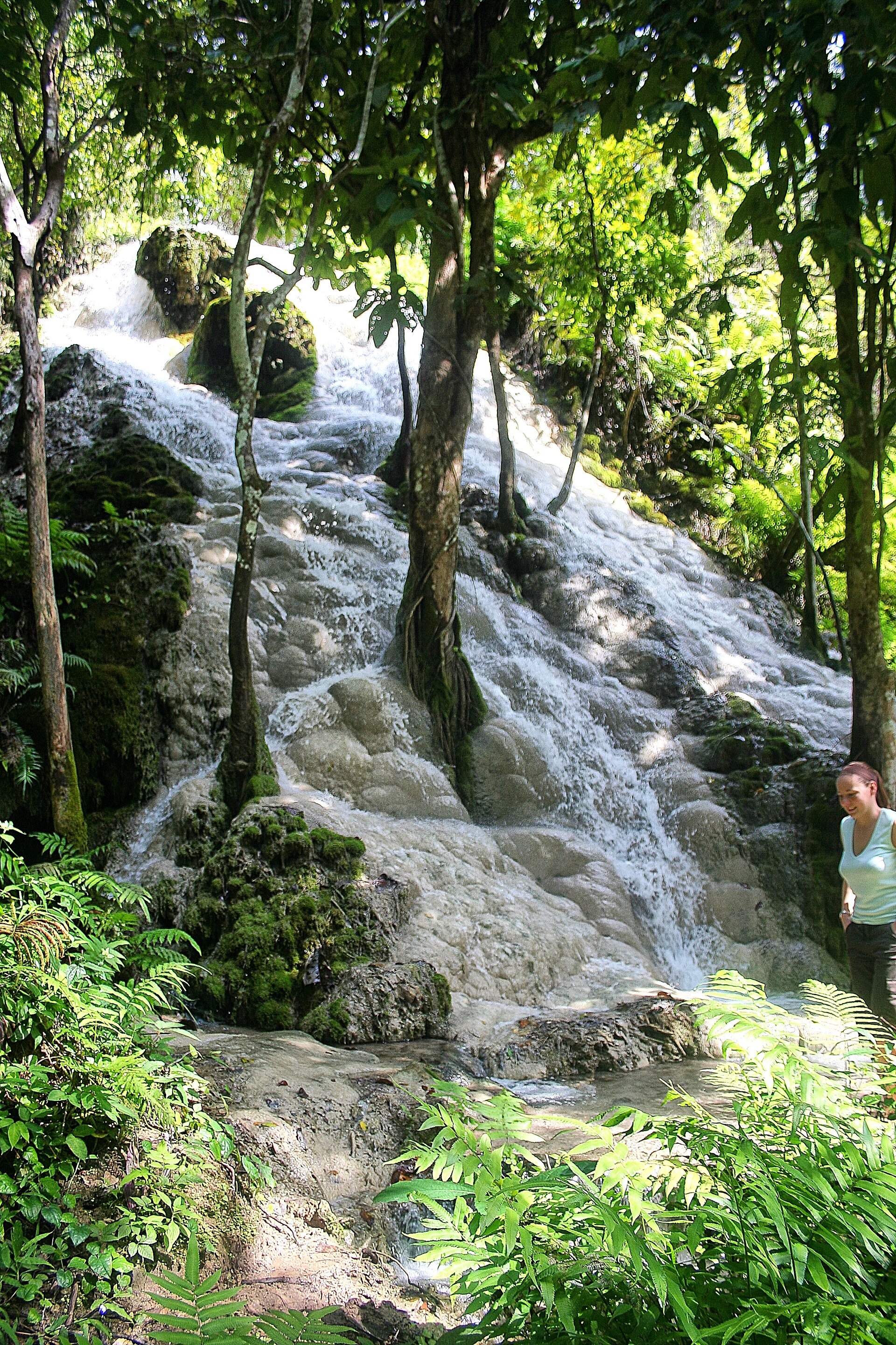 Day Trip to Bua Thong Waterfalls