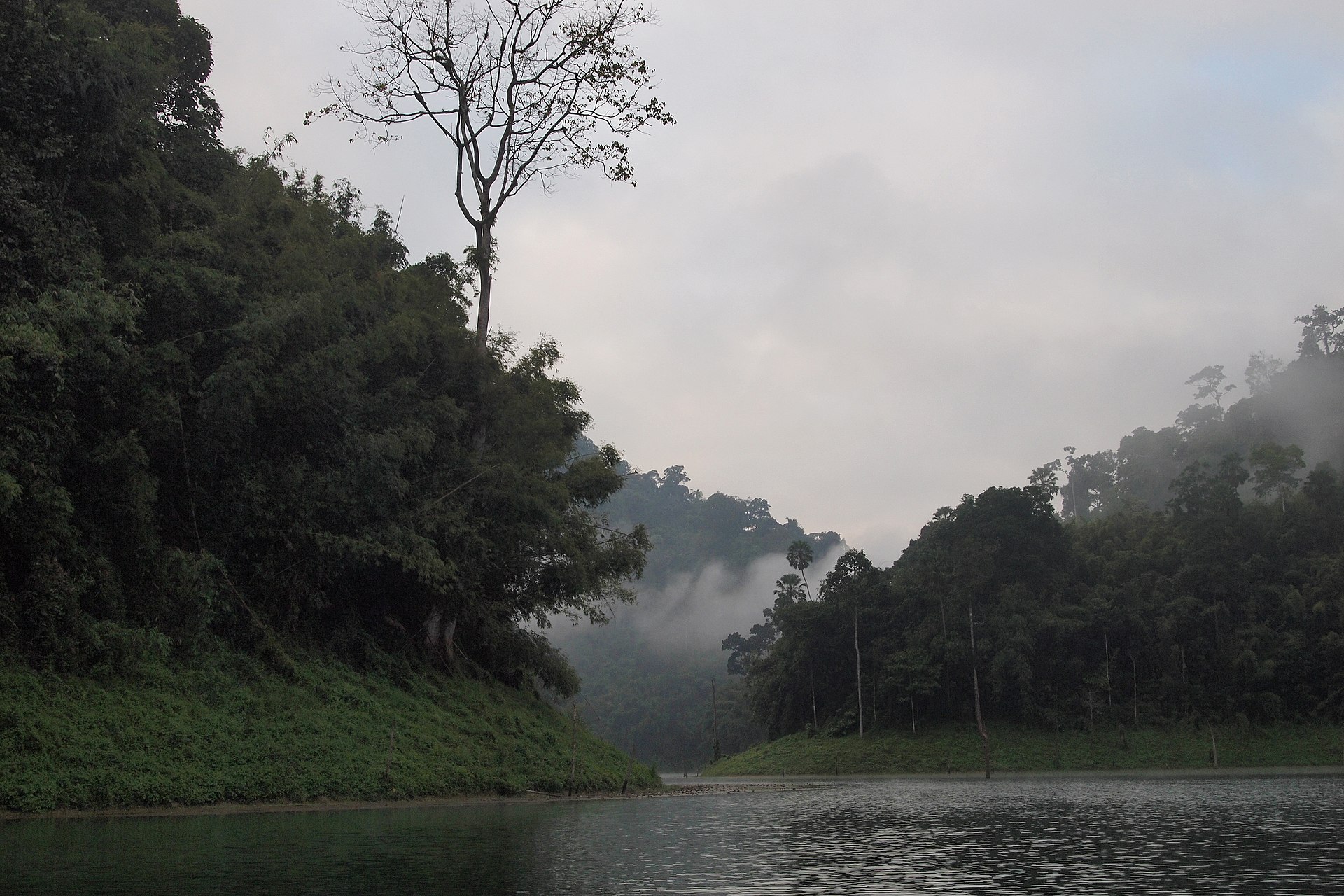 Rainforest cliffs and water at Cheow Lan Lake