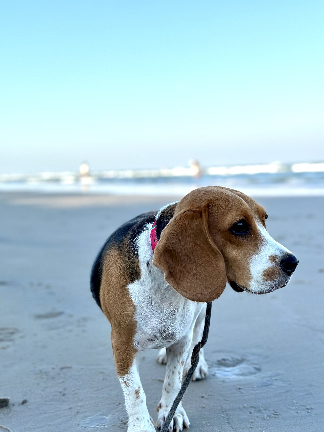Beachfront scene in Hua Hin