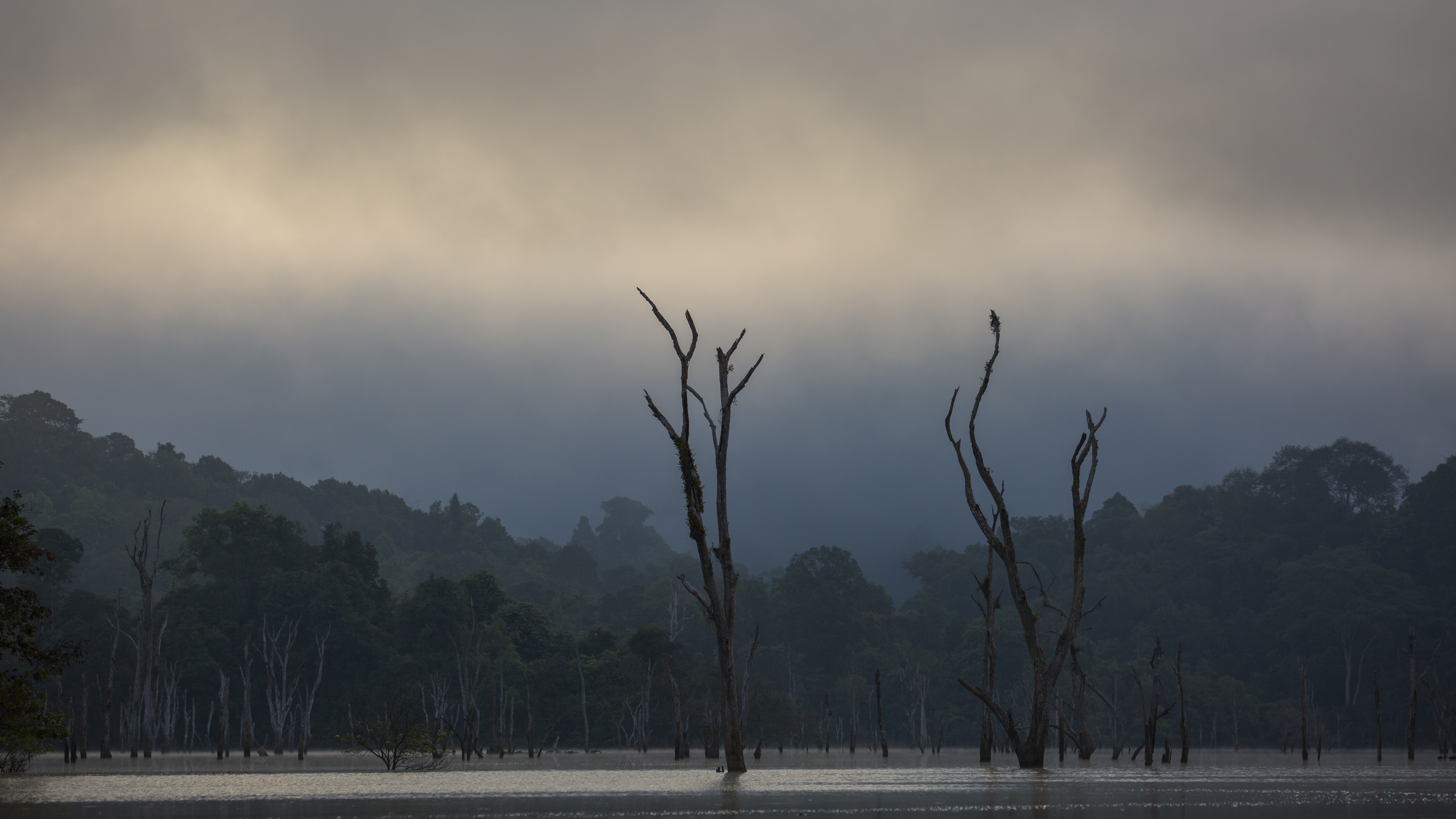 Forest and limestone scenery in Khao Sok