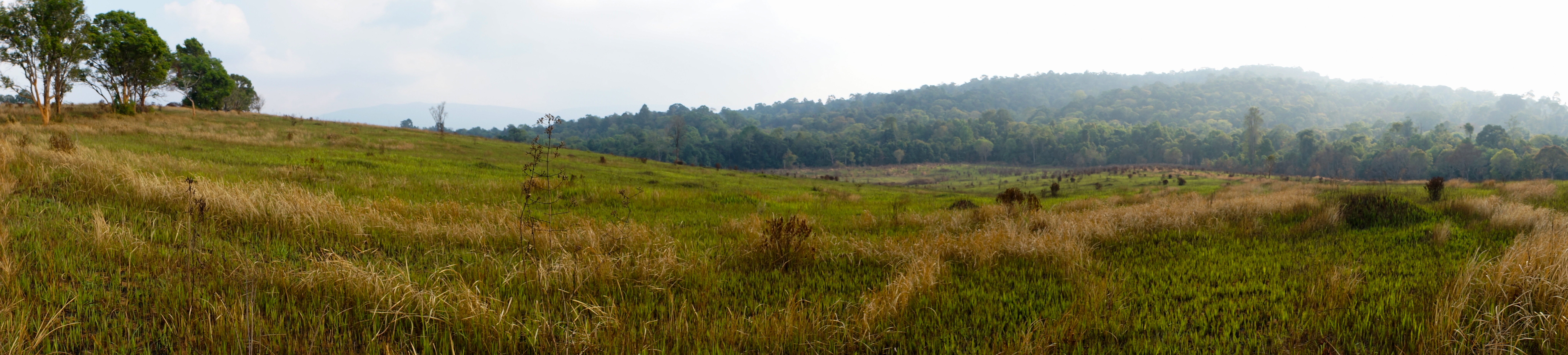 Day Trip to Khao Yai National Park