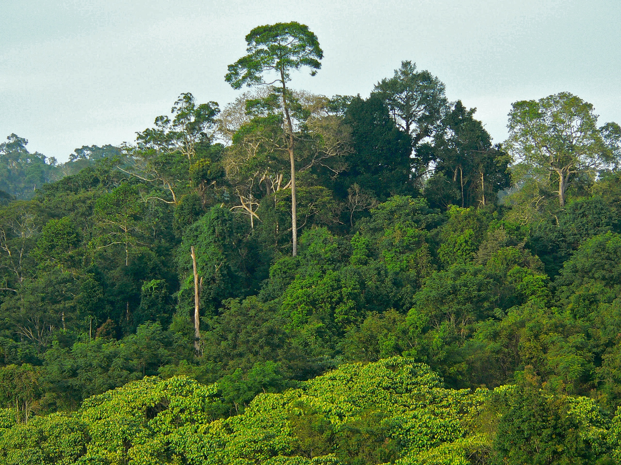 Day Trip to Khao Yai Viewpoint