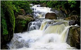 Forest stream in Nakhon Nayok
