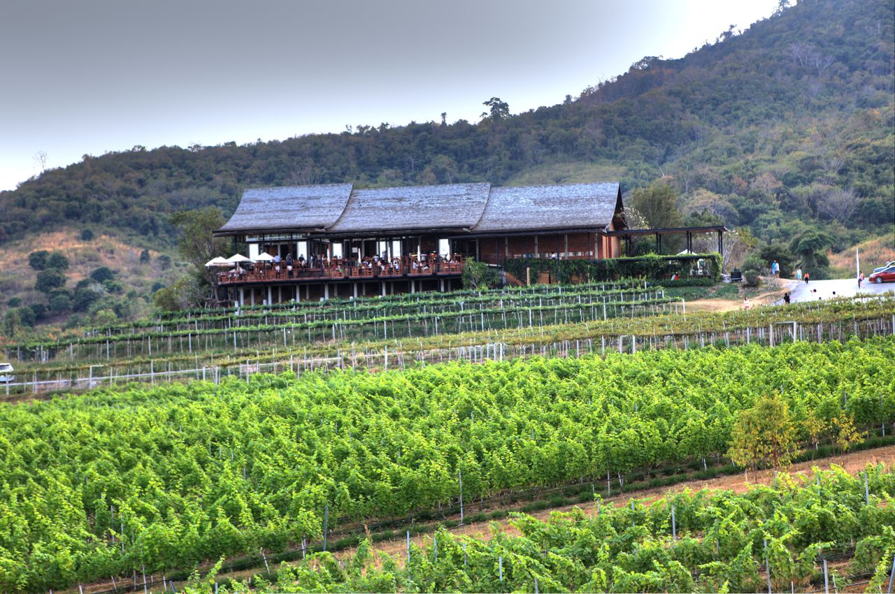 Day Trip to PB Valley Khao Yai Winery