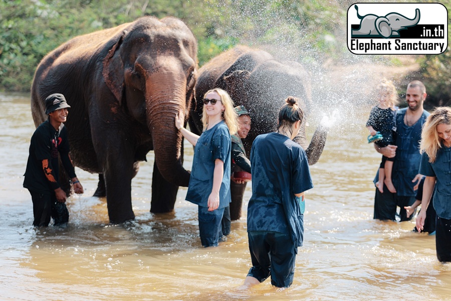 Elephant sanctuary visit in Thailand
