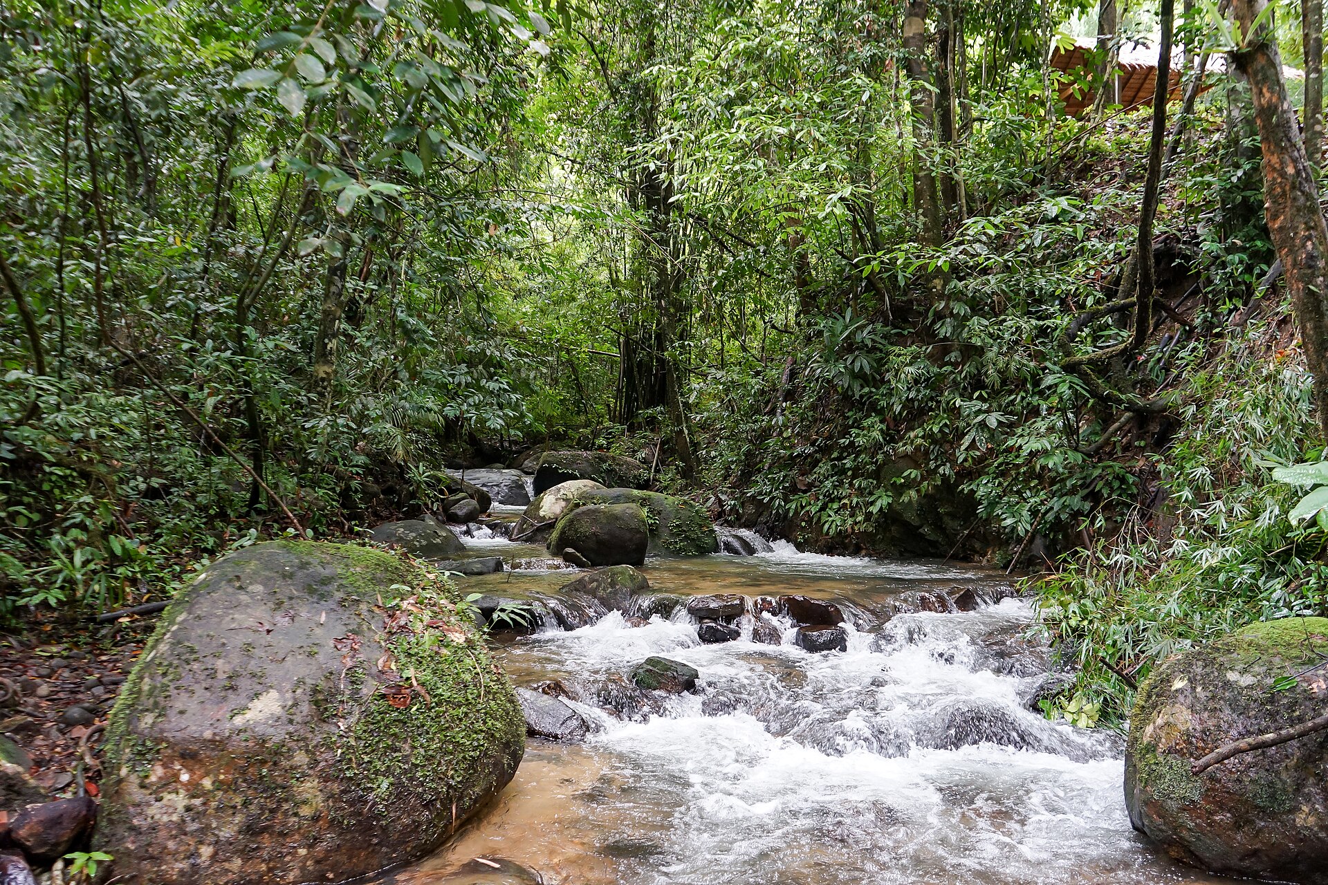 Day Trip to Sok River Kayaking