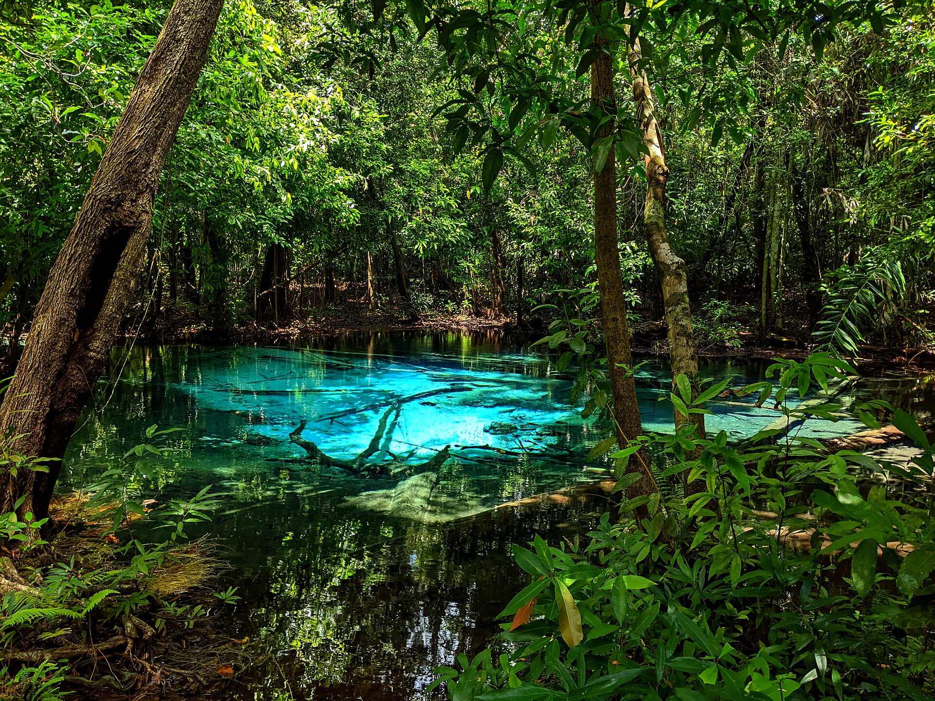 Blue Pool in Thung Teao Forest