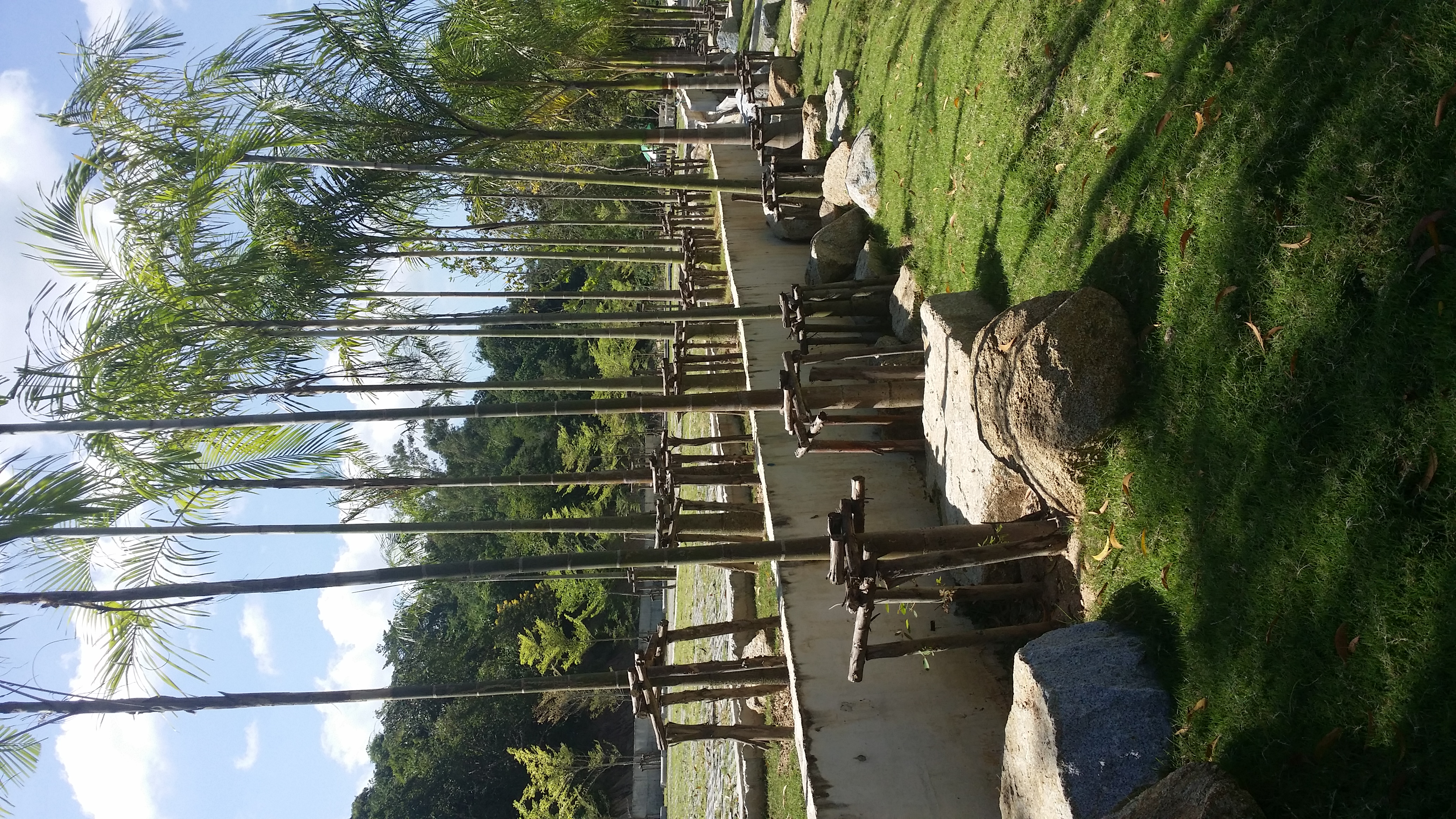 Wildlife Encounters: Nature Escapes Near Pattaya